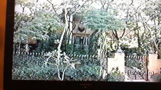 4.mov