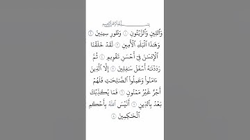 سورة التين بصوت القارئ الشيخ علاء عقل #القرآن_الكريم #راحة_نفسية #اطمئن #رمضان