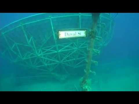 spring break meaning duvalsign