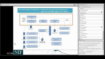 NIF and the NIF Standard Ontologies