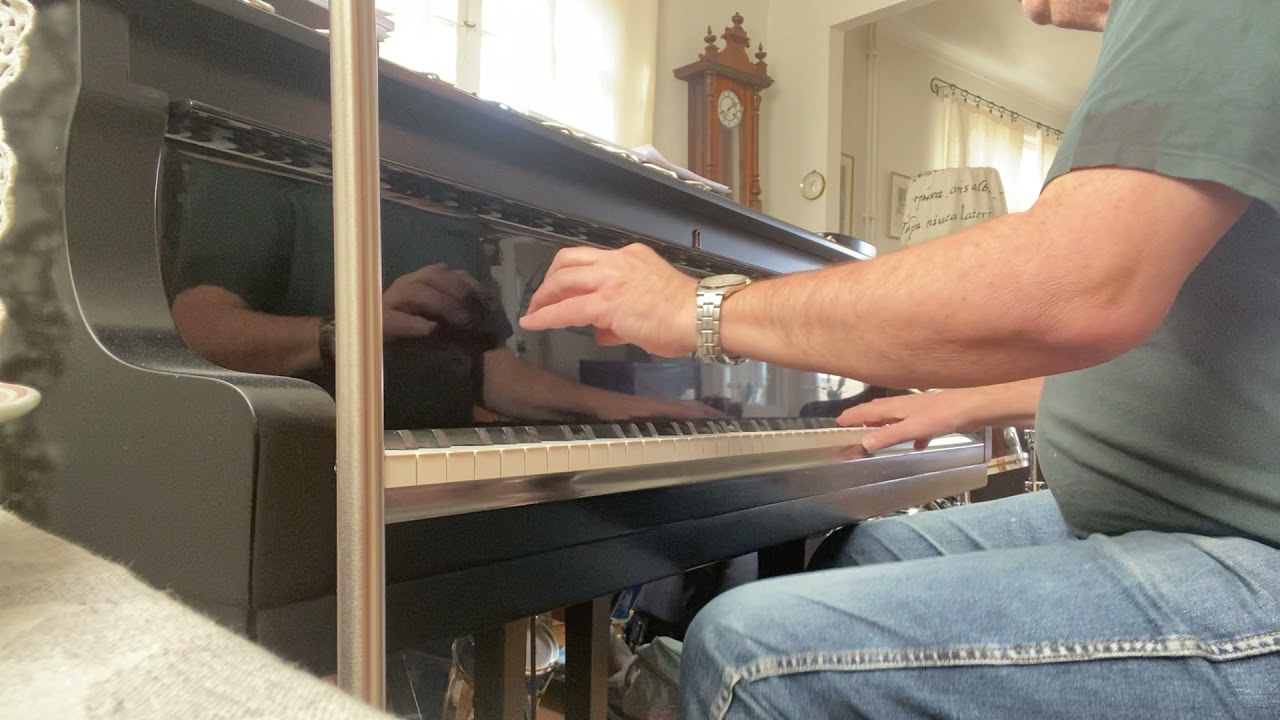 Pannonica Lars Jansson, Paul Svanberg (Thelonious Monk)