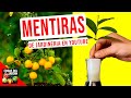 NO DEJES QUE TE MIENTAN ASÍ - REACCIONO A VIDEOS DE JARDINERIA