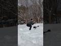 雪の上トレーニング 雪国でもジャンプトレーニングしよう#筋トレ #ジャンプトレーニング #自重トレーニング