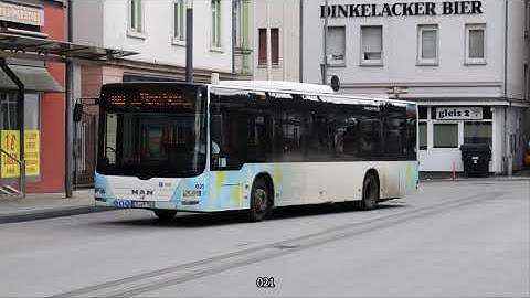 Esslingen am Neckar (Bus; SVE (not articulated)) (20250401) (Slide show)