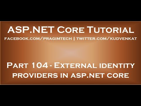 External identity providers in asp net core