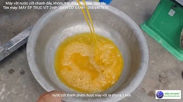 Máy vắt nước cốt chanh dây, vắt nước cốt khóm - Điện Cơ Xanh - 0984467870