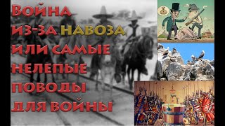 Война из за НАВОЗА или самые нелепые поводы для войны