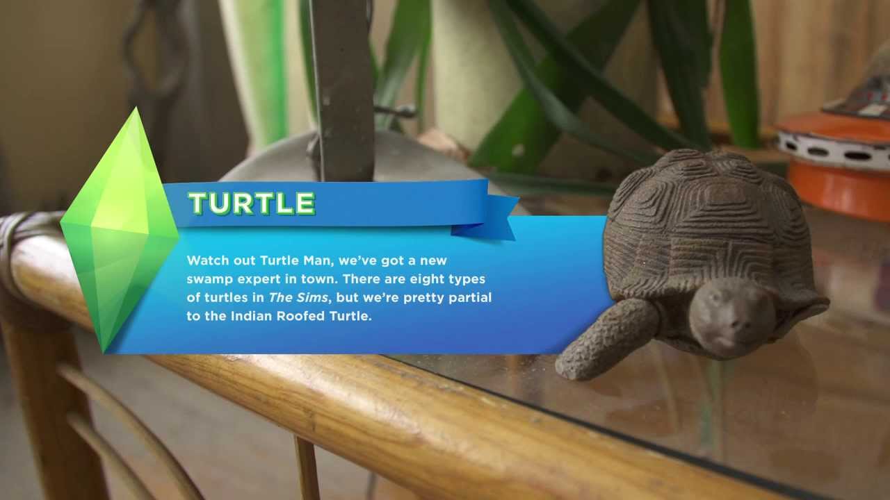 The Sims 4 - Turtle Fever - A turtle ornament.  An unlisted Easter egg from The Sims 4 trailer.