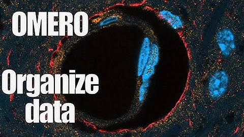 Omero organize data