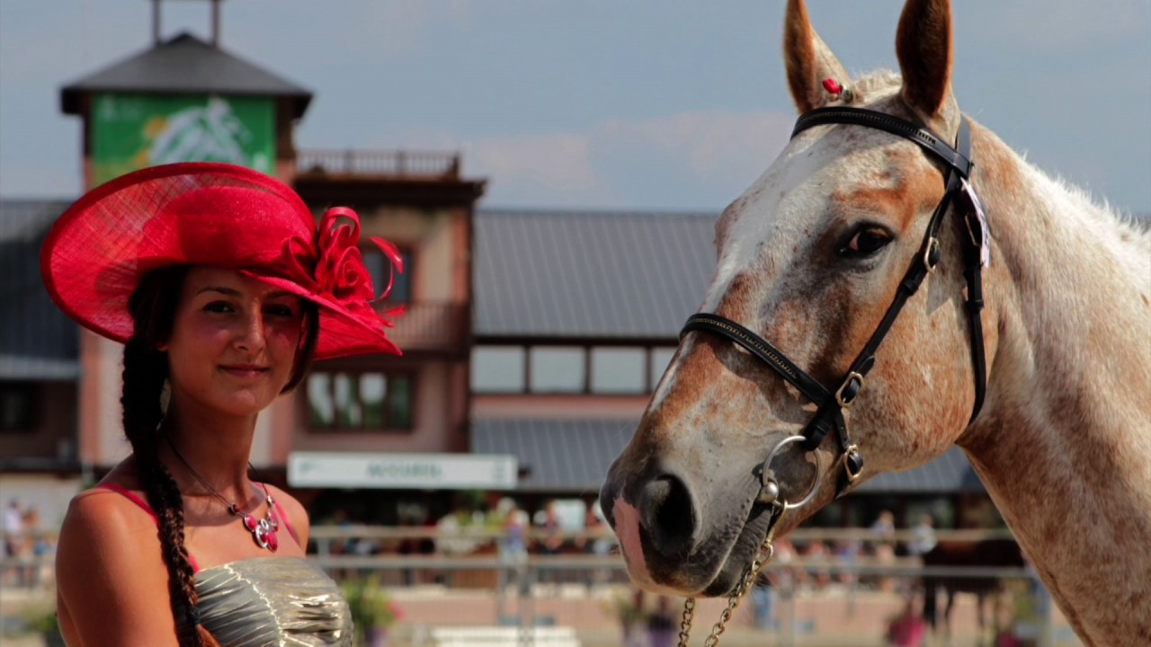 Parc Equestre Fédéral