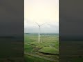 Windmills