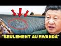 Ils se MOQUAIENT de la Chine qui enterrait des plantes dans le désert… 10 ans après, ils REGRETTENT!