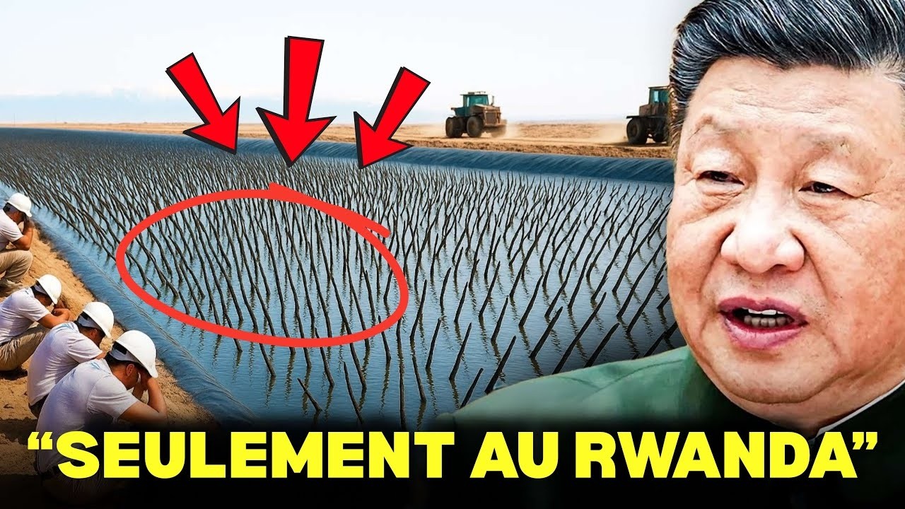 Ils se MOQUAIENT de la Chine qui enterrait des plantes dans le désert… 10 ans après, ils REGRETTENT!