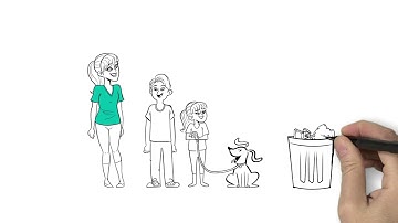 Whiteboard Video Example