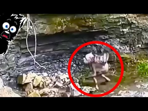 ЛЕСНОЙ ГОБЛИН и ДРУГАЯ ЕРУНДА СНЯТАЯ НА КАМЕРУ [Черный кот]