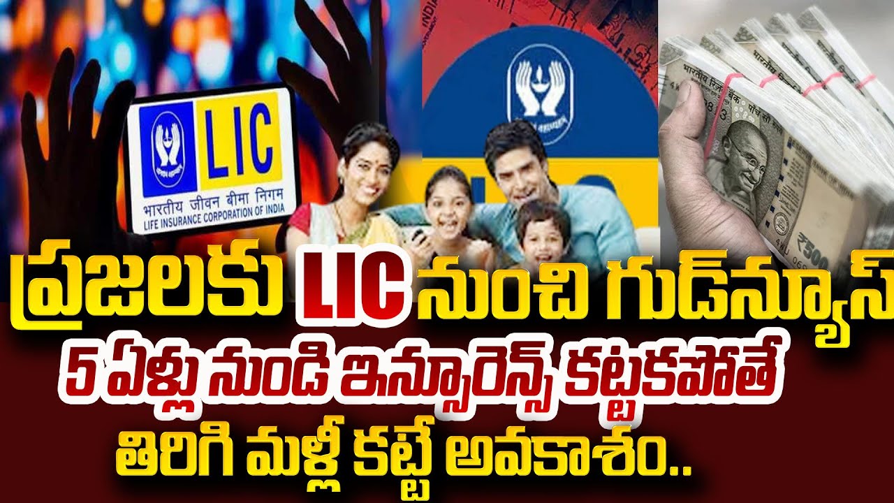 LIC Bumper Offer for Customers Restart Old Policies Easily | LIC Brings Back Lapsed Policies | STV