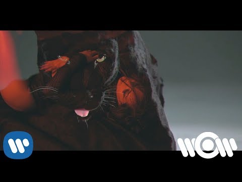Lariss - Animal (feat. Carlito) | Official Video