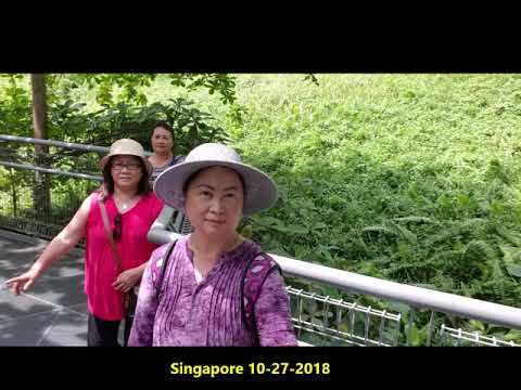 Video: Tus Qauv Siv Thev Naus Laus Zis: Los Ntawm Hamburg Mus Rau Singapore