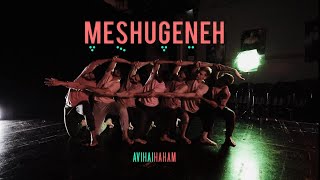 MESHUGENEH | משגנע | Avihai Haham