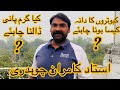 Dana or garam pani ki aham tips ustad ch kamran   pigeonvlogswithkamran