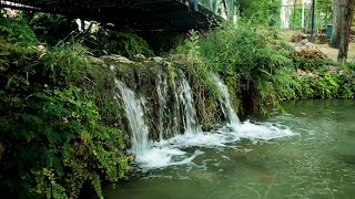 Cascade Serenade - 15 Minutes Chill Out Vibes