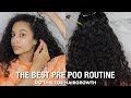 The Best Pre Poo Routine for Curly Hair Growth + Moisture Retention