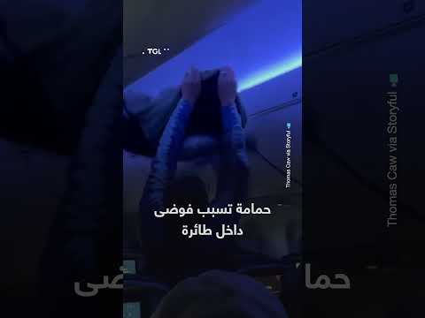 حمامة تتسبب في فوضى داخل طائرة دلتا بمطار مينيابوليس - سانت بول الدولي