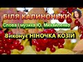 БІЛЯ КАЛИНОНЬКИ НІНОЧКА КОЗІЙ БІЛЯ КАЛИНОНЬКИ НІНОЧКА КОЗІЙ