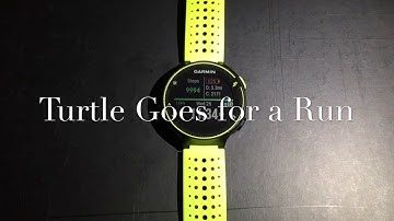 Garmin Forerunner Alert Setup