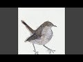 Nightingale Pt 2 