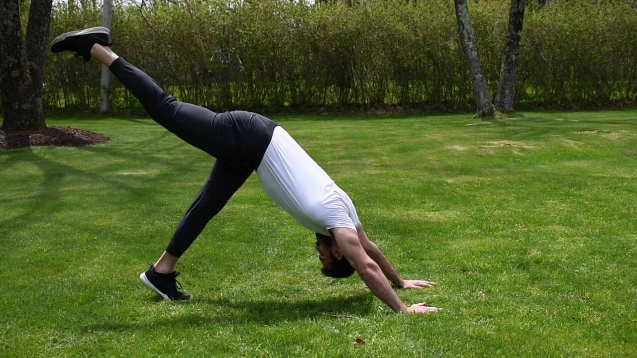 Single Leg Down Dog, Knee to Elbow Instructional Video YouTube