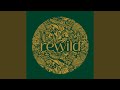 Shringaar (feat. Bhanwari Devi)