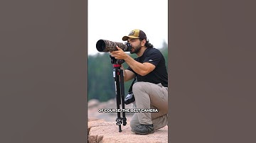 What bird photography gear might I need? B&H x @OMSYSTEMCameras have the answers you seek!