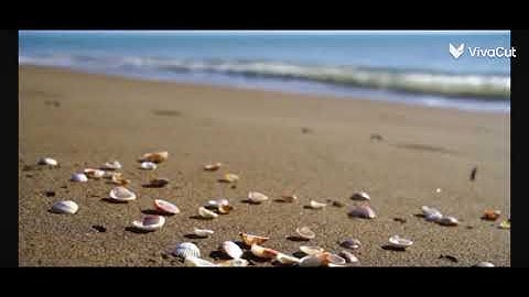 تلاوة سورة يونس أيه 11/12