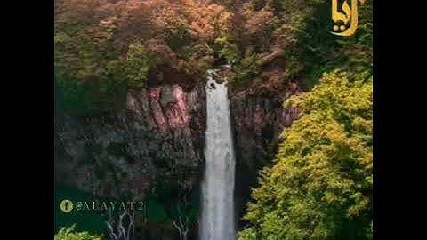 سورة الكهف حالات واتس اب قران // اية قرانية قصيرة// لراحة قلبك // ستوريات انستا #quran