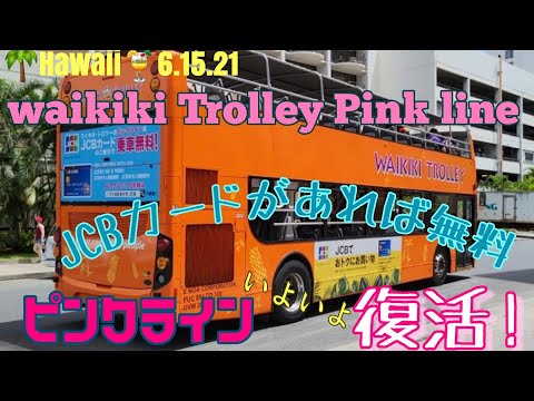 Hawaii Waikiki Trolley Pinkline Restart From Today ワイキキトロリーのピンクラインが本日復活です Youtube Hawaii Waikiki Trolley Pinkline Restart From Today ワイキキトロリーのピンクラインが本日復活です Youtube