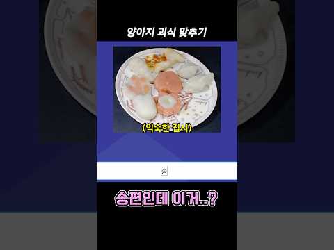 망한 음식 보고 맞히기#shorts