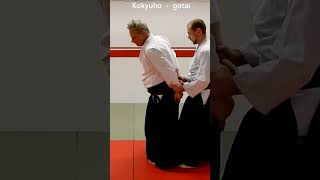 Aikido in slow motion: Techniques on wrist grabs from behind, USHIRO RYOTEDORI, by Stefan Stenudd