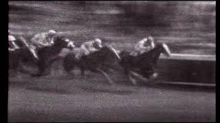1965 Derby Stakes