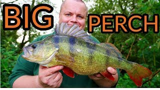 PERCH FISHING "ONE BIG PERCH YES!!!" (Video 115)