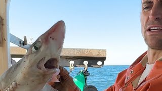 Top 3 Cool Catches! (Maine Lobster Fishing)