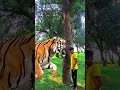 friend, your hero has become a fool￼ animals video of him entering the tree #funny #youtubeshorts