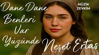 DANE DANE BENLERİ VAR YÜZÜNDE - NEŞET ERTAŞ - POP-ROCK COVER