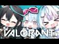 【 VALORANT 】UNIで二次会 ⟡.· 【夕霧レイ / ミリプロ】
