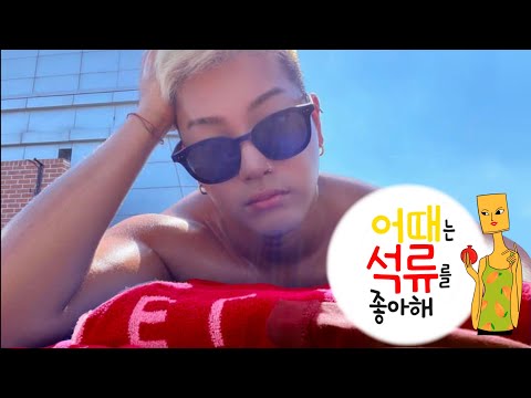 어때는 석류를 좋아해