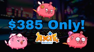 BUDGET MEAL DOUBLE BUG TEAM | BUG BUG BIRD | AXIE INFINITY META screenshot 1