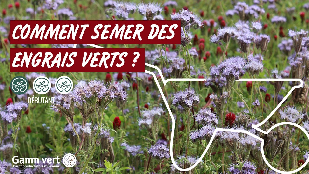 [TUTO] Comment semer les engrais verts ? Jardinerie Gamm vert YouTube — free download