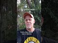 Funny Story about Gen-X parents. Paradise City. The Swamp Joker.