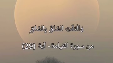 كلا إذا بلغت التراقي وقيل من راق)... بصوت القارئ /أحمد عوض