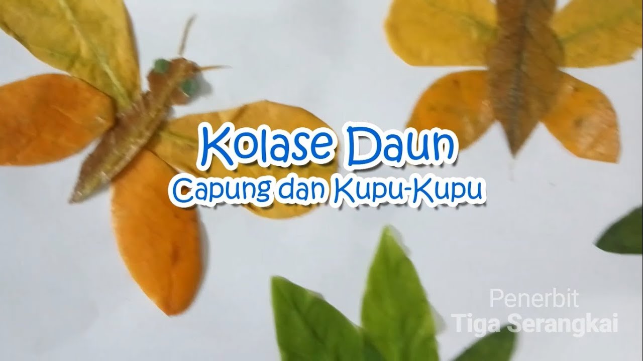 Kolase Daun Bentuk Capung dan Kupu-Kupu | Kreasi Kolase ...